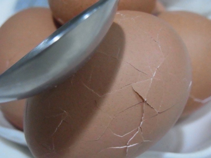 ��ݮ��Ҷ��������