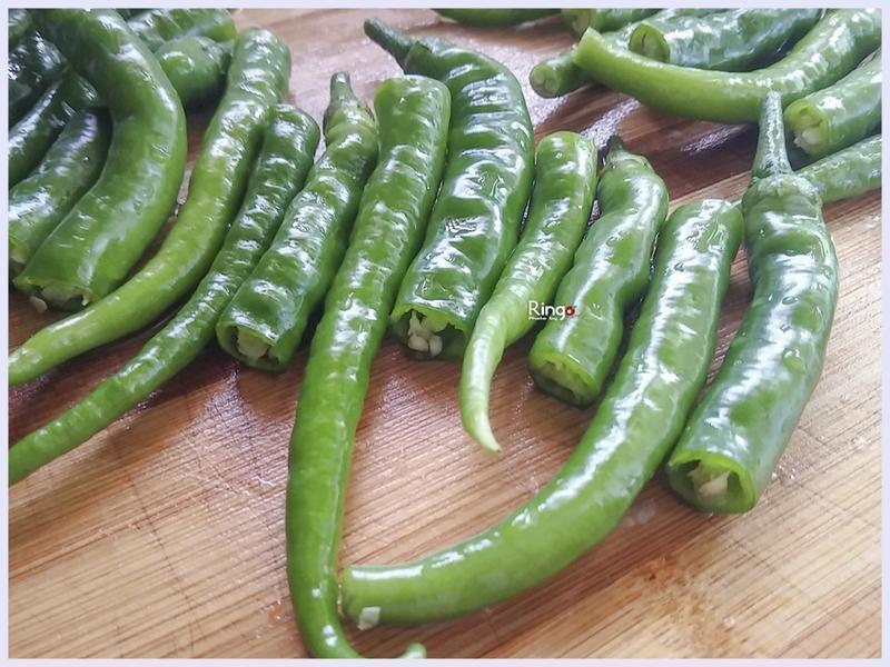 Ŵ�׽����������