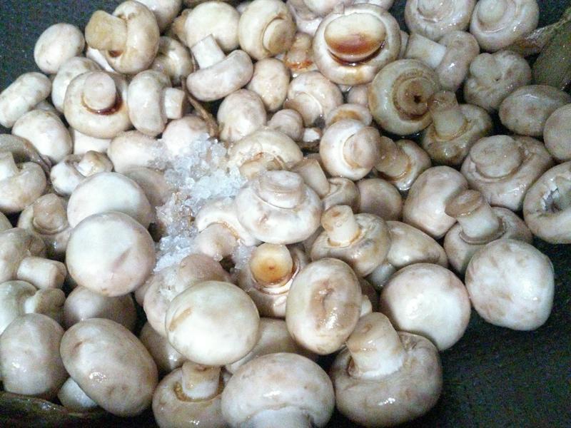 ����Ģ��������