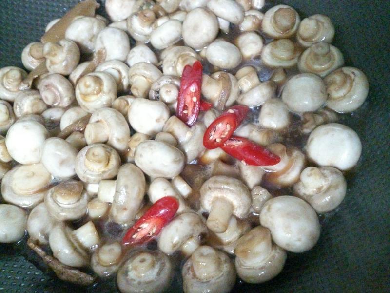 ����Ģ��������