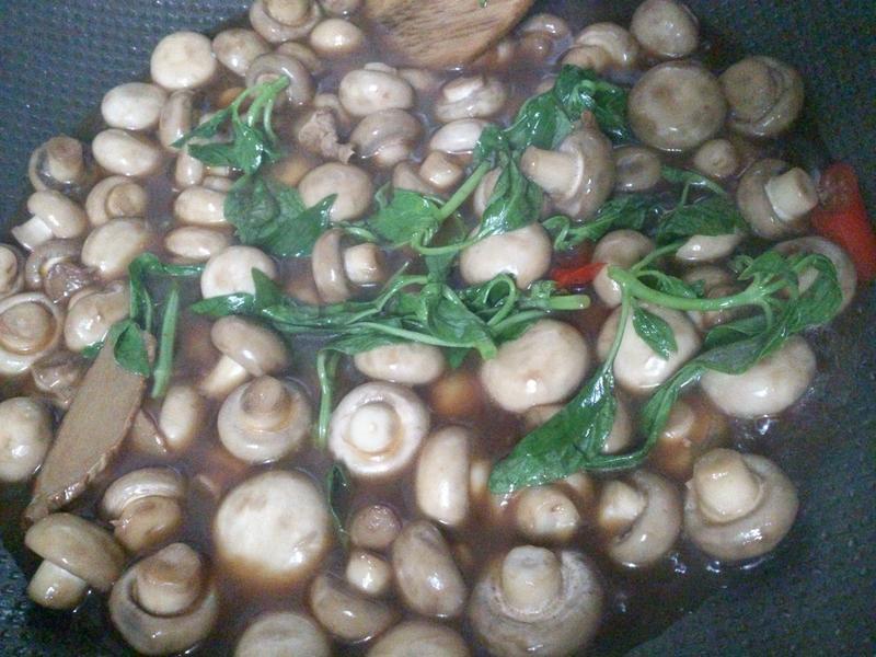 ����Ģ��������