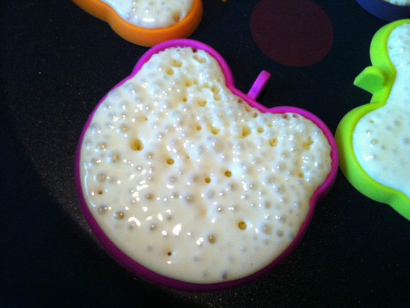 ����ݮ�Ͱ�ӥ�����̡�����DIY��ͨ��ݮ�ɱ�������