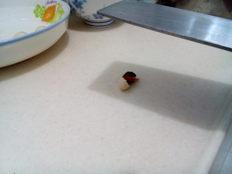 ΢��¯ ȥ �׹� �ǵ�����