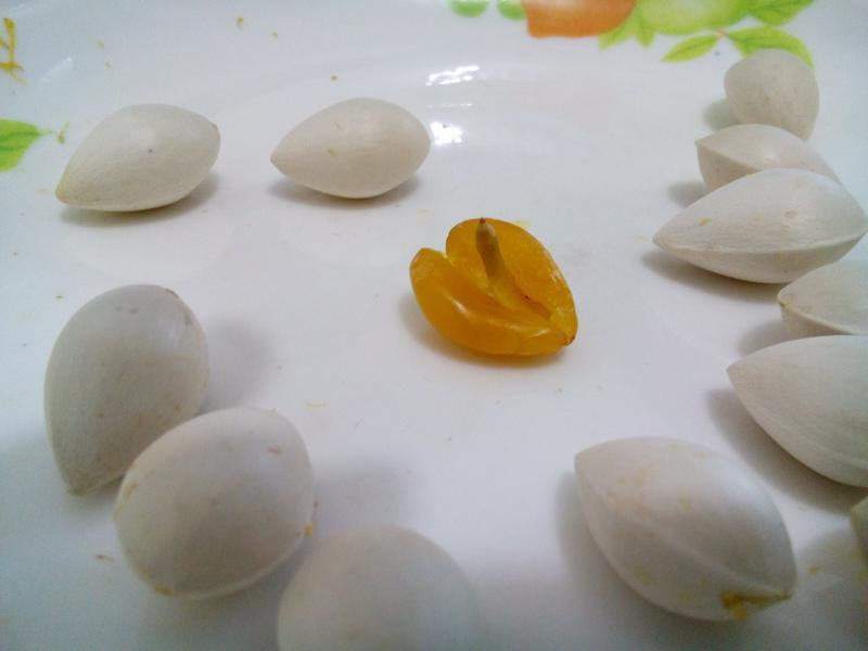 ΢��¯ ȥ �׹� �ǵ�����