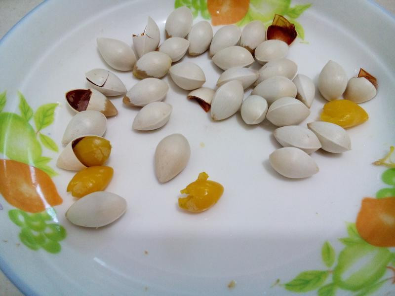 ΢��¯ ȥ �׹� �ǵ�����