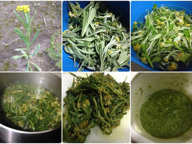 �����ݼ@������