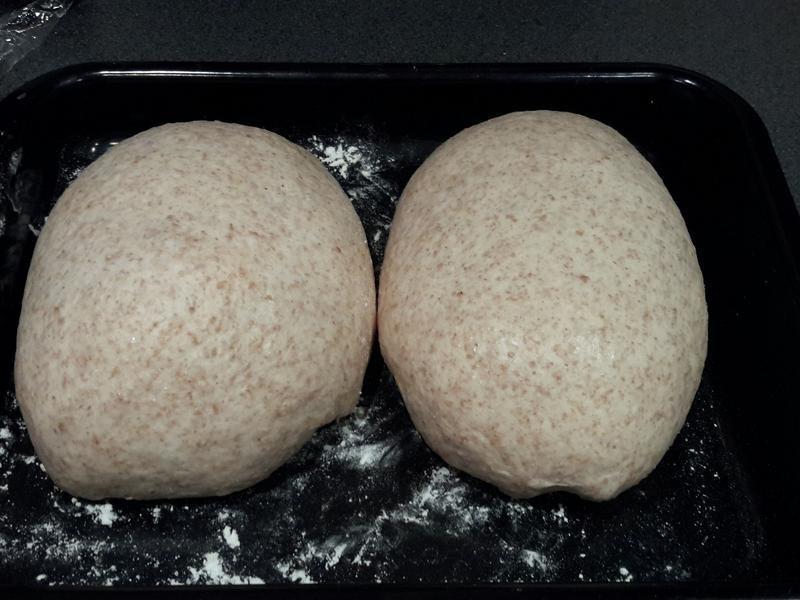 �����������������