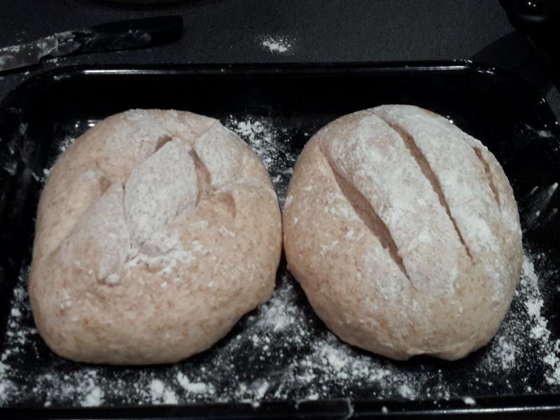 �����������������