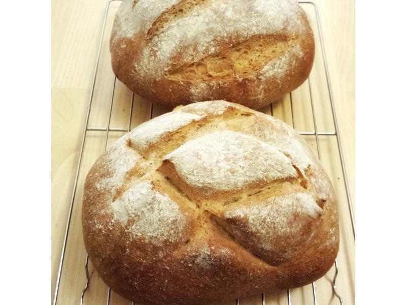 �����������������