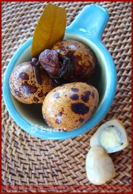 ��Ҷ���ȵ�������