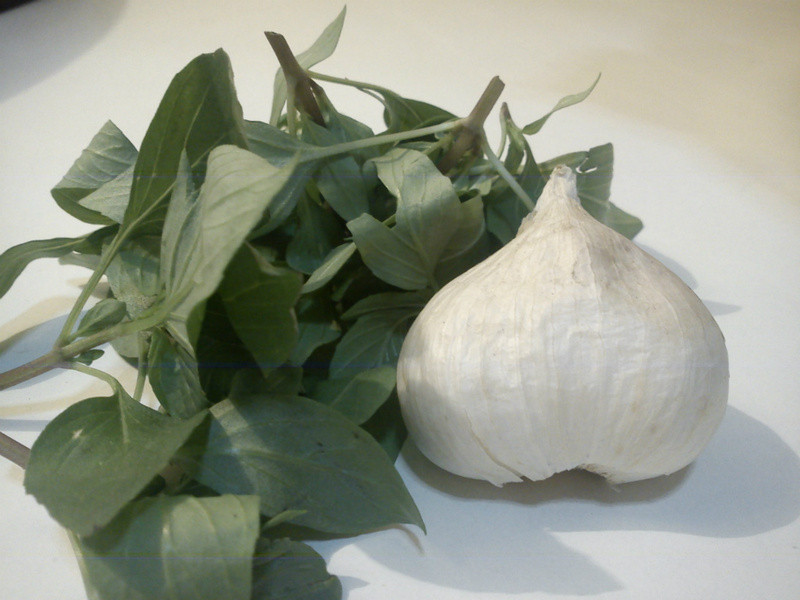 felicine����ζϺ������������������