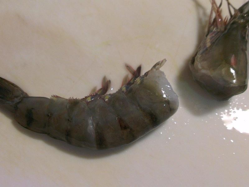 ������˹Ϻ������