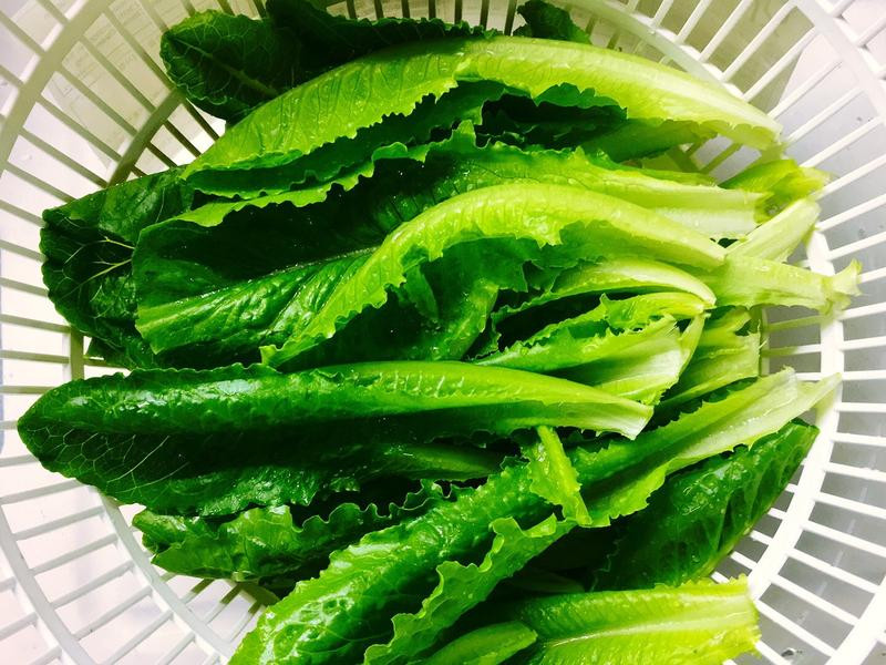 ������������ɳ��������