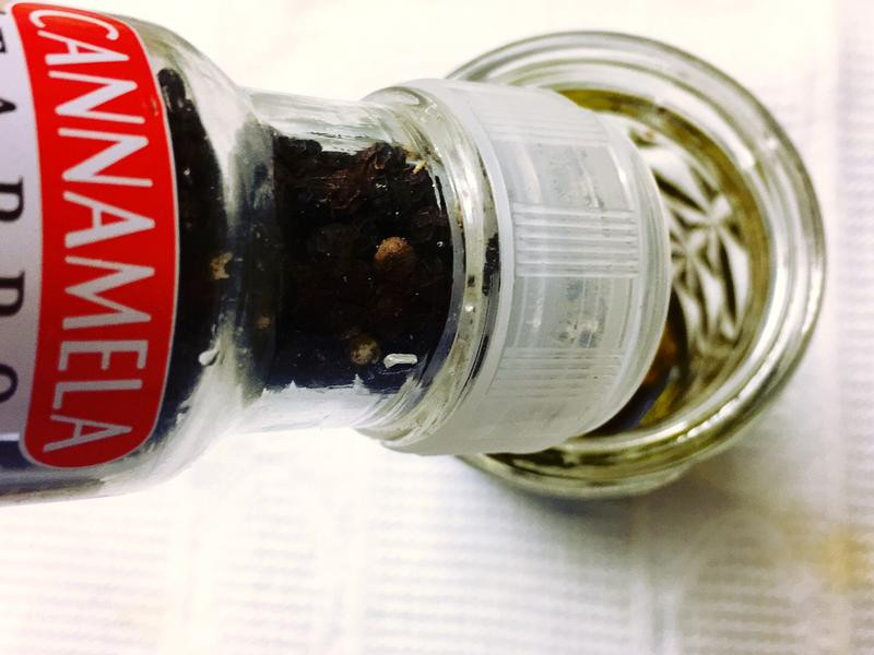 ������������ɳ��������