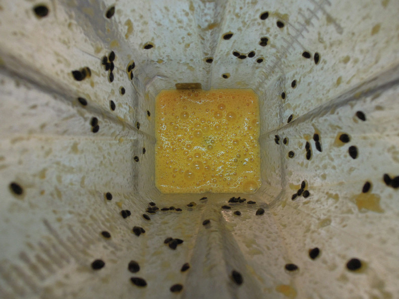 ����ƻ����������