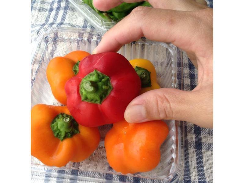 �������մ��������