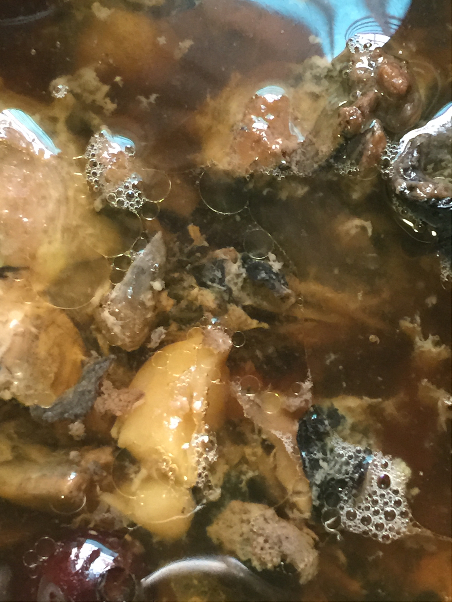 �ڹǼ��̲���������