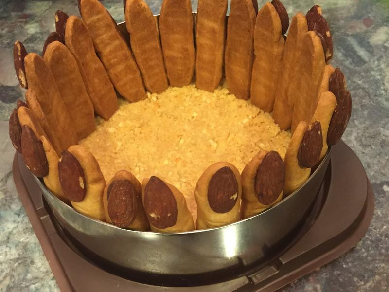 ��ʥ��������ָ��ʿ���������