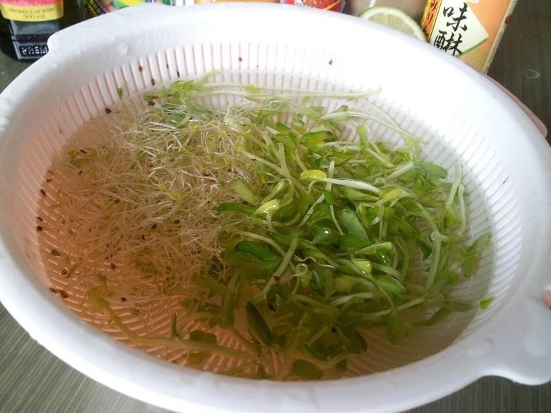 ʤС�������㼦��ɳ����������