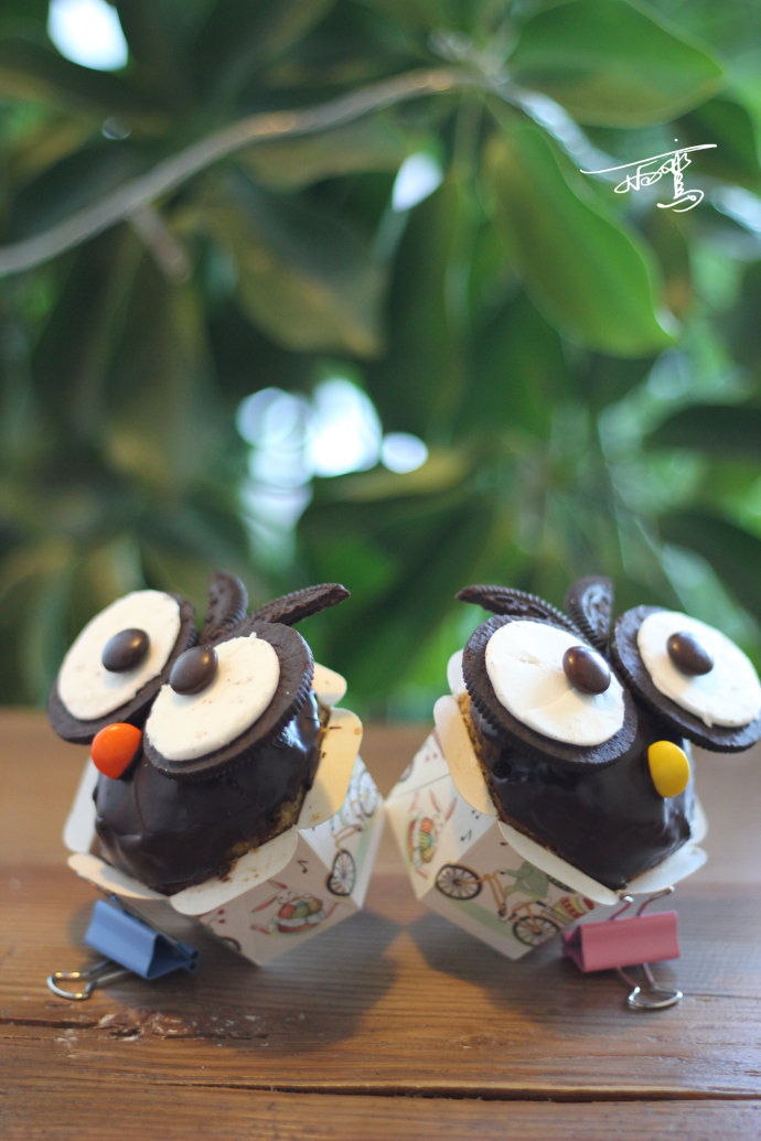 �������У�����ϲ������èͷӥ���ӵ��������