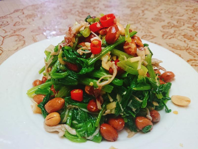 ���������貤�˻���������