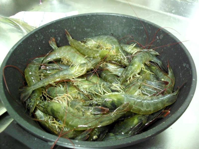 ������������衿������֮���Ϻ������