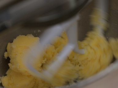 ���ʵ���̢������