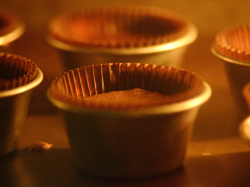 ��ʽ�������ɿ���������