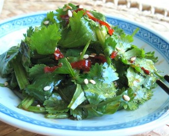 ������˵�����