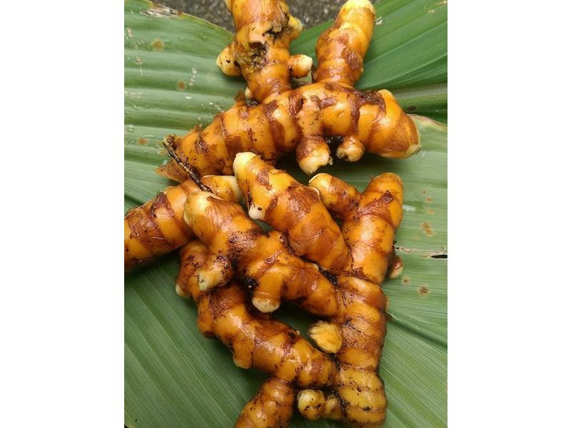 �׻�Ҭ���ر�����������