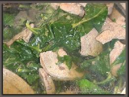 肝瘦枸杞叶汤的做法