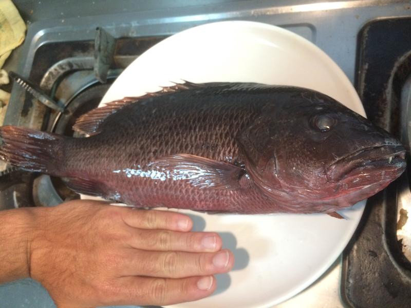 ���������������