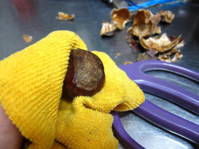 ���Ӵ���(��ʳ��)������