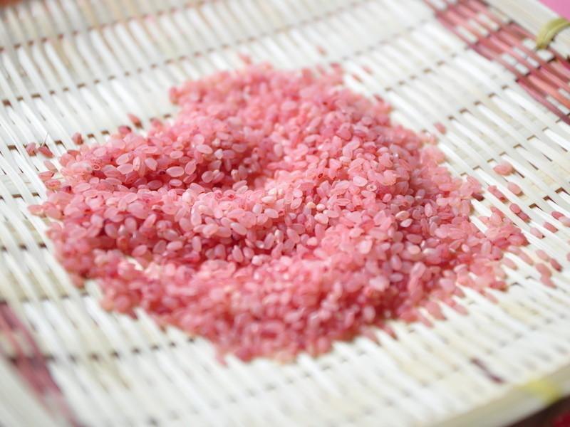 ���ĩ��������̨���ɫ�ס�������