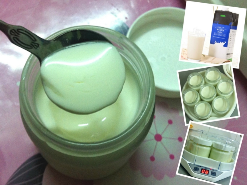 自制酸奶的做法