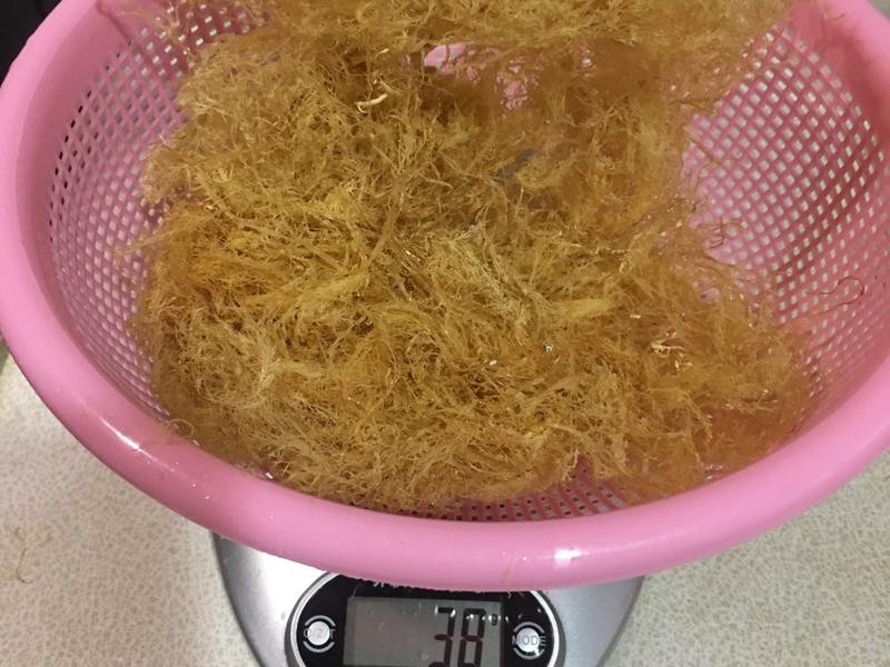 ����������ѵ�����