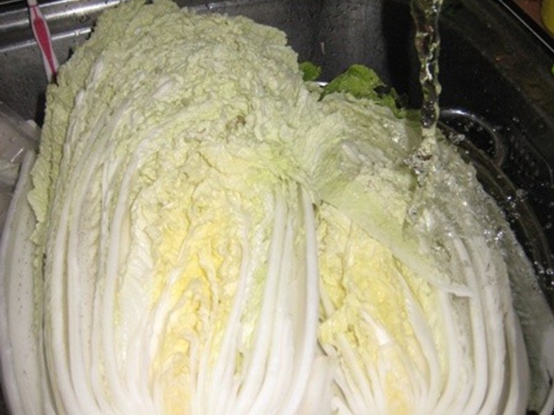 �׶��κ���֢-�����ݲ˵�����