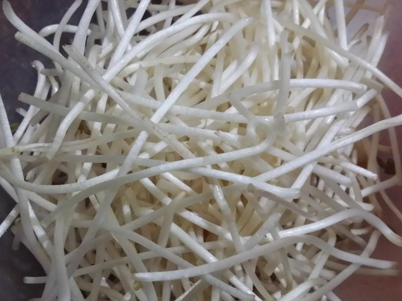 ��ѿ��˿������