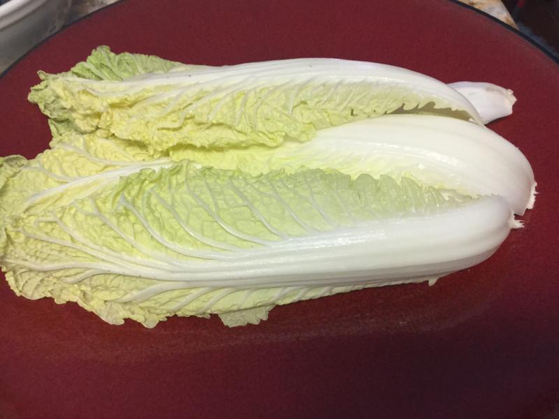 �����ݲ�һKimChi������