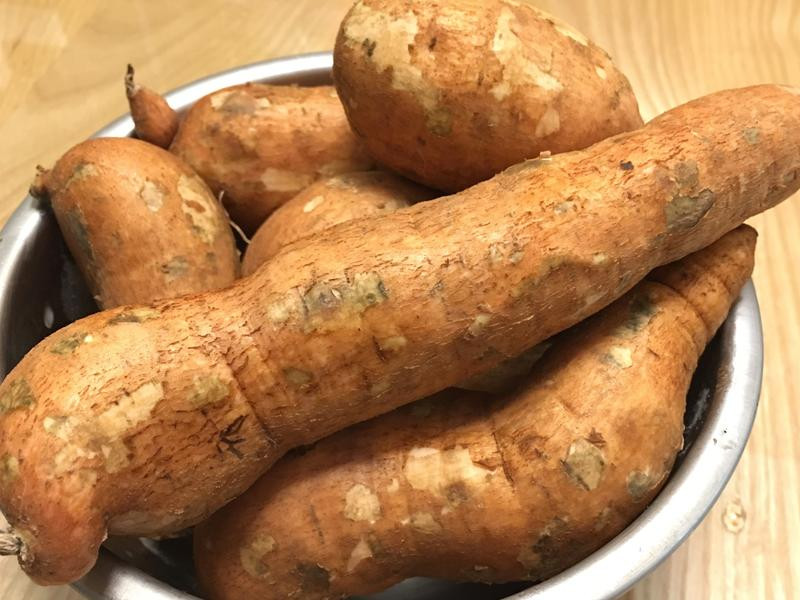 ���俾�عϵ�����