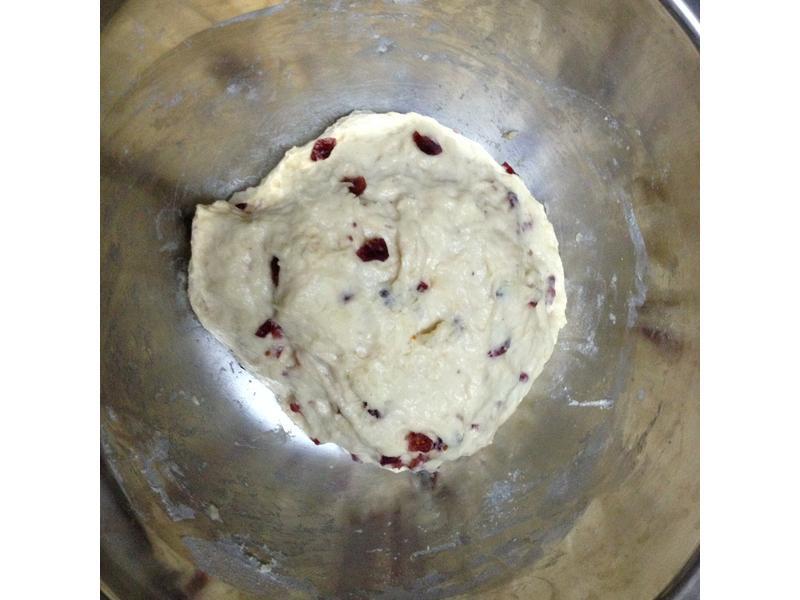 ���࡫��Խݮ���ֶ���ģ�С�������ɰ棩������