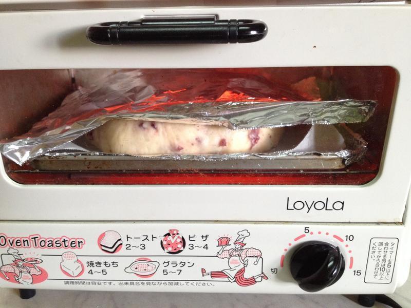 ���࡫��Խݮ���ֶ���ģ�С�������ɰ棩������