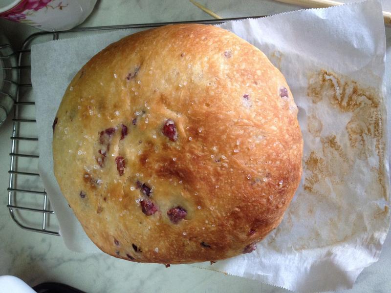 ���࡫��Խݮ���ֶ���ģ�С�������ɰ棩������