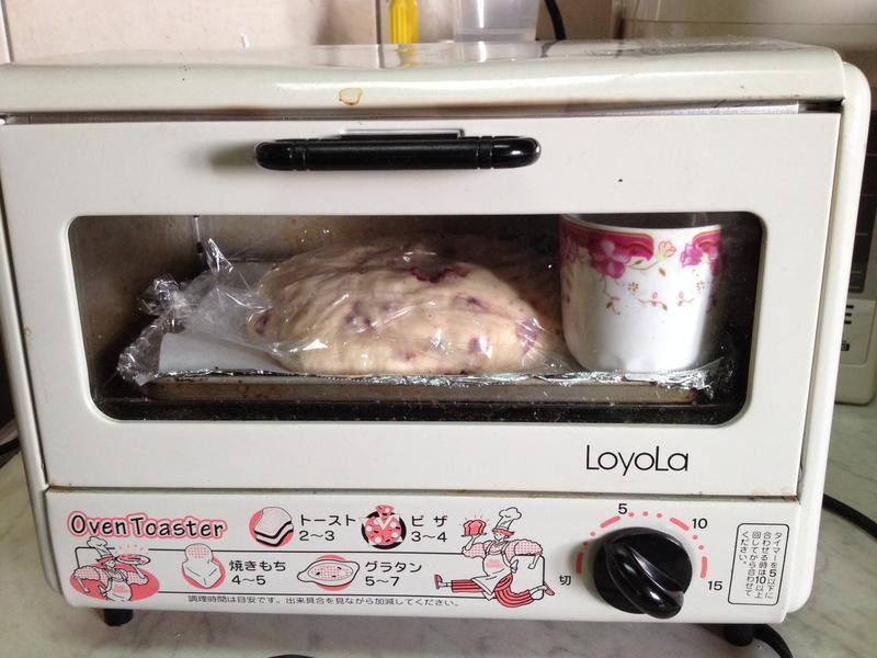 ���࡫��Խݮ���ֶ���ģ�С�������ɰ棩������