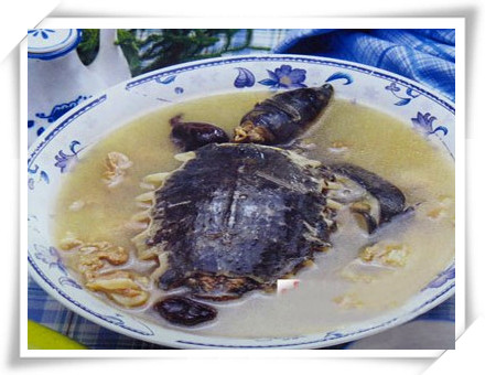 ����������������