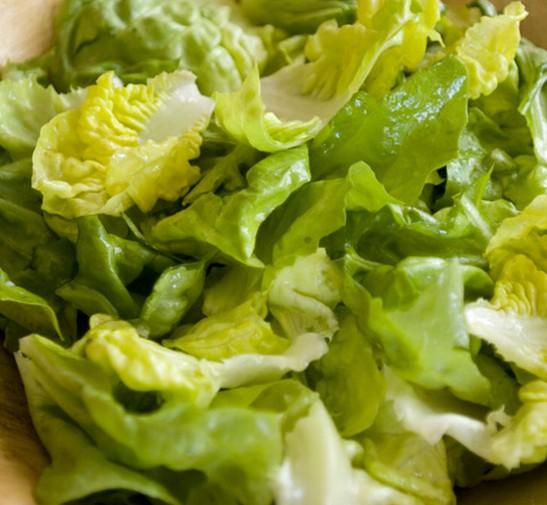 ��ʿ��ɳ��������