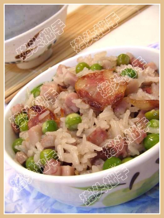 ��������Ŵ�׷�������