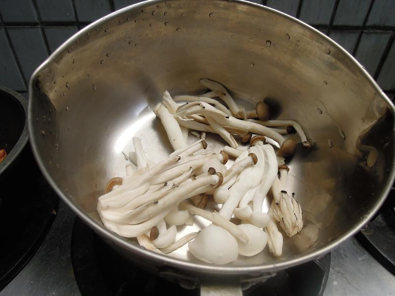 �߹����������������������