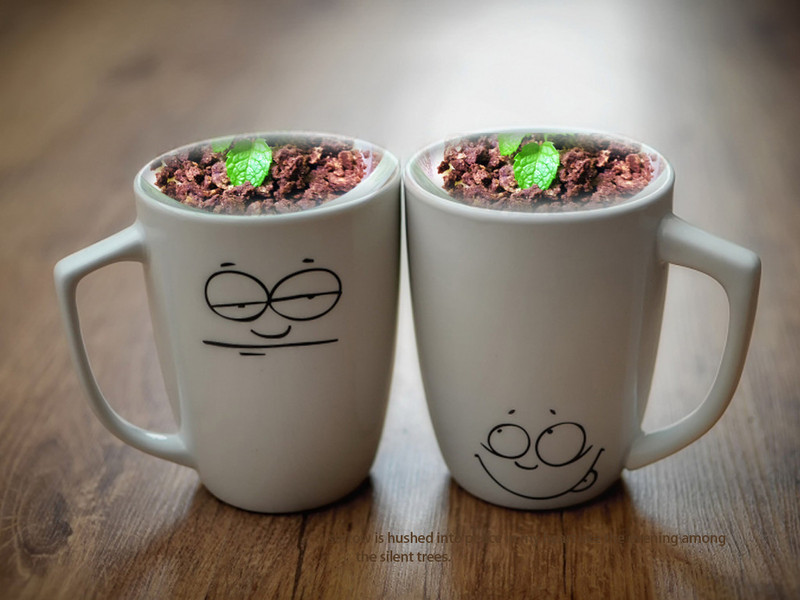 ���������ǰ桾�������ҡ�������