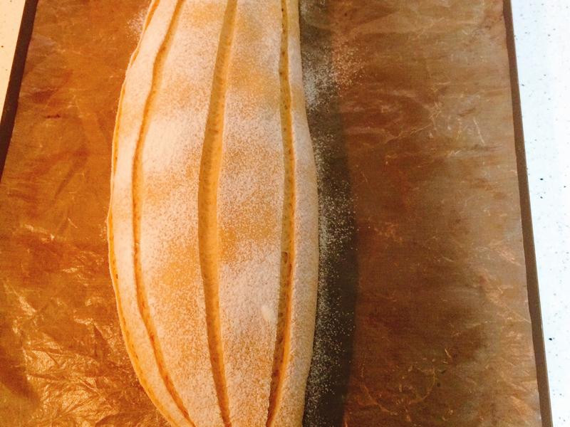 ����ţ�̹�˹���������